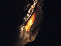 Cave Bacon